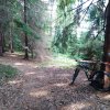 IMG-20220908-WA0003